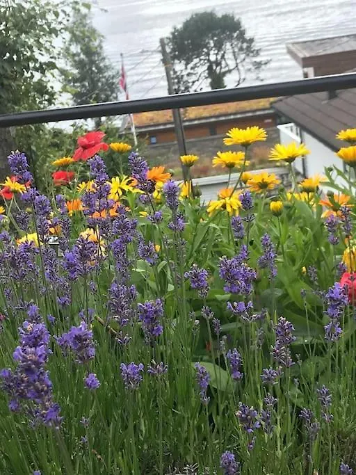 Sentrumsnaer Enebolig Med Stor Hage, 100 M Fra Badestrand Bergen Villa